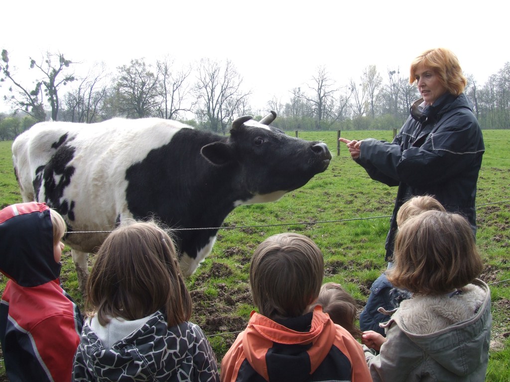 Hoftiere, Holzschiffe oder Specksteinschmuck