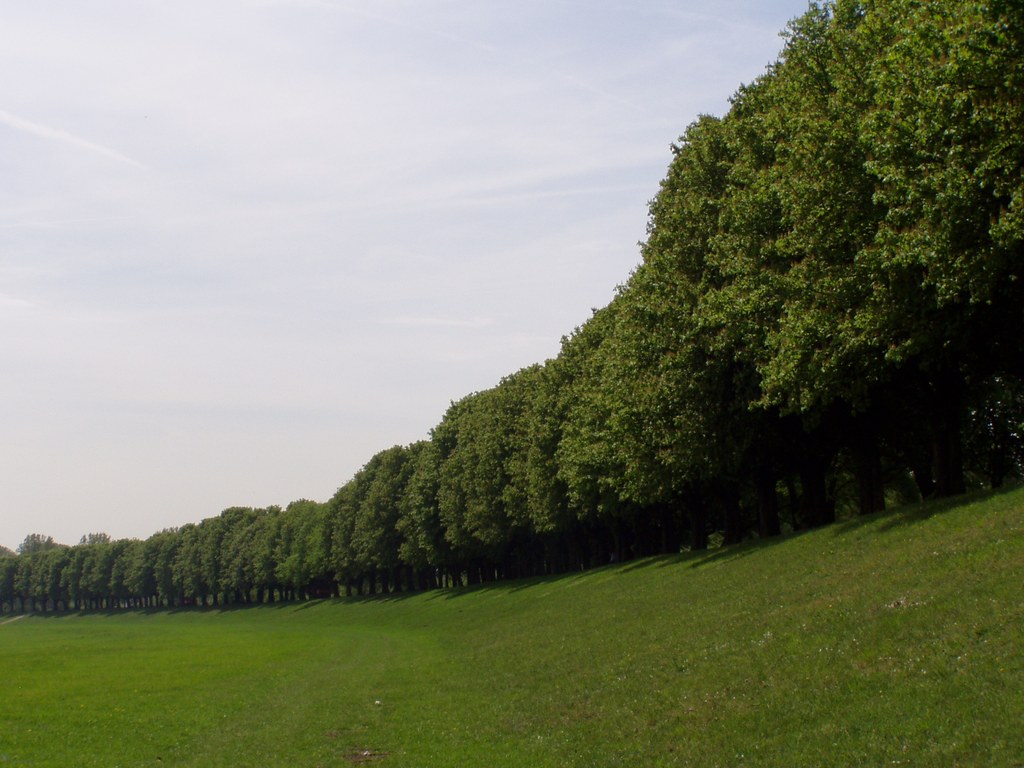 Damwildbestand Selikumer Park