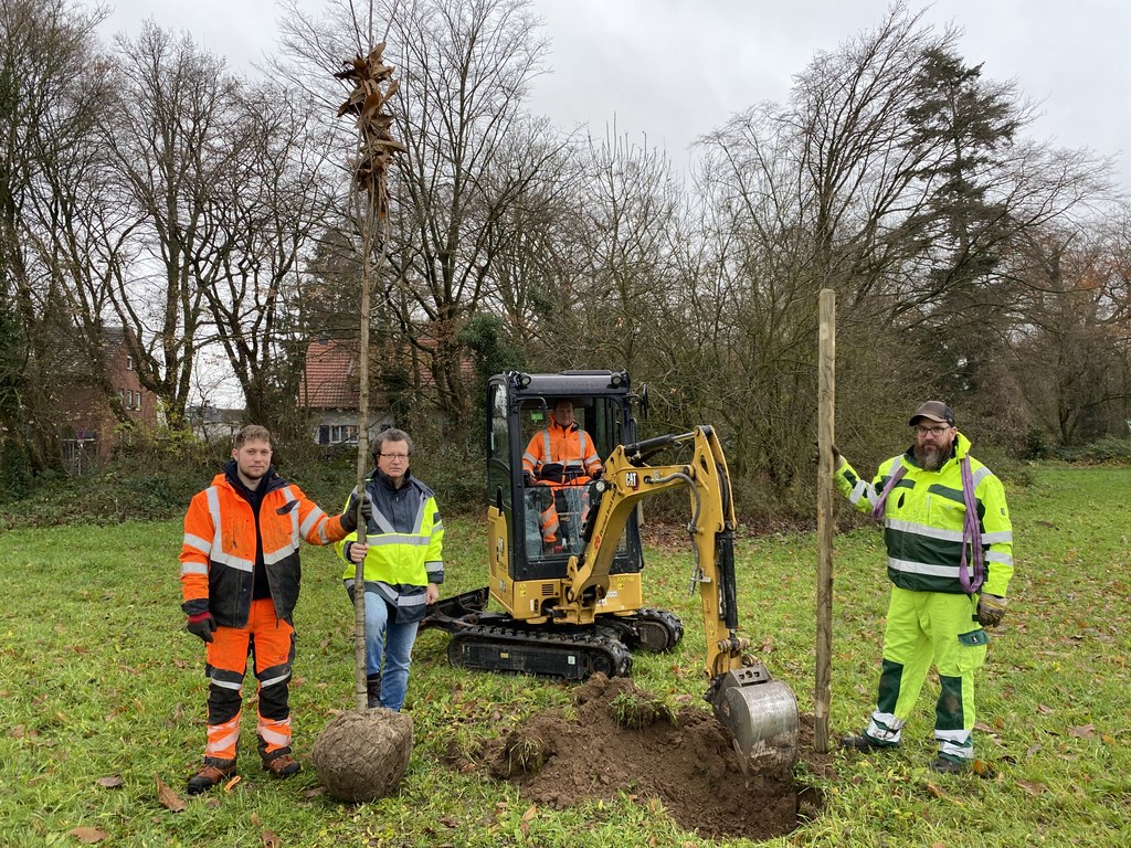 Mitarbeiter des Amtes für Stadtgrün, Umwelt und Klima bei der Neupflanzung eines Obstbaumes.