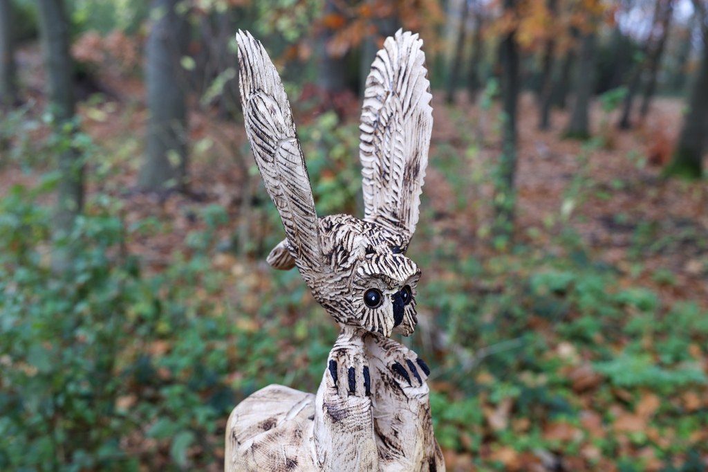 Die Holzskulptur eines Kauzes inmitten des Wäldchens: sie hält die Flügel hochgestreckt, als würde sie gleich losfliegen.