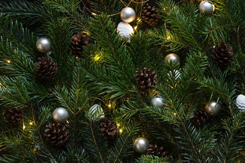 Weihnachten im Pauline-Sels-Saal