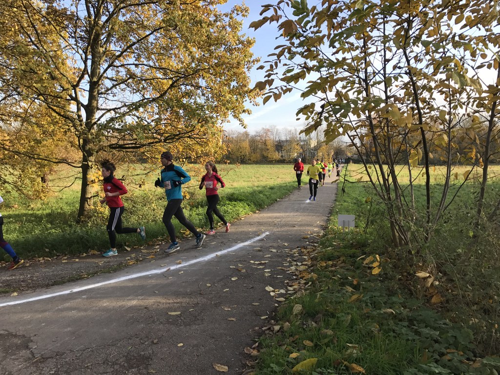 21.10.2019 - Neusser Erftlauf