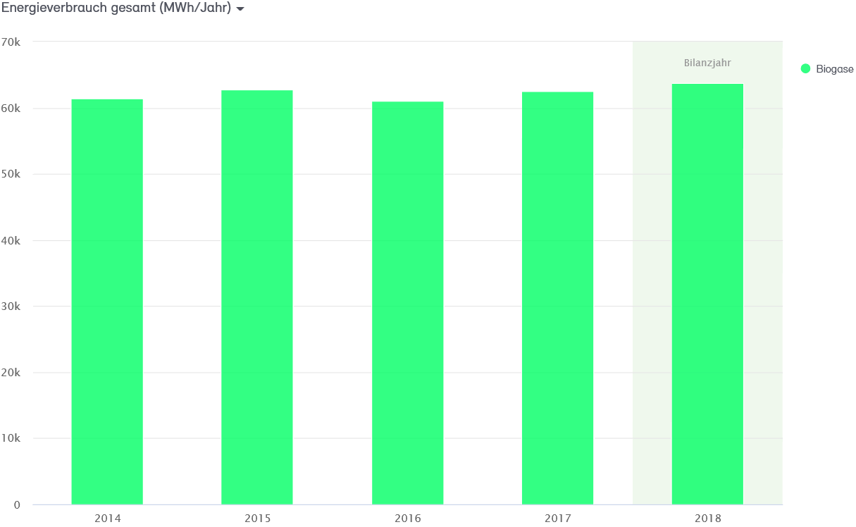 Abb. 39: Entwicklung Verbrauch Biogas