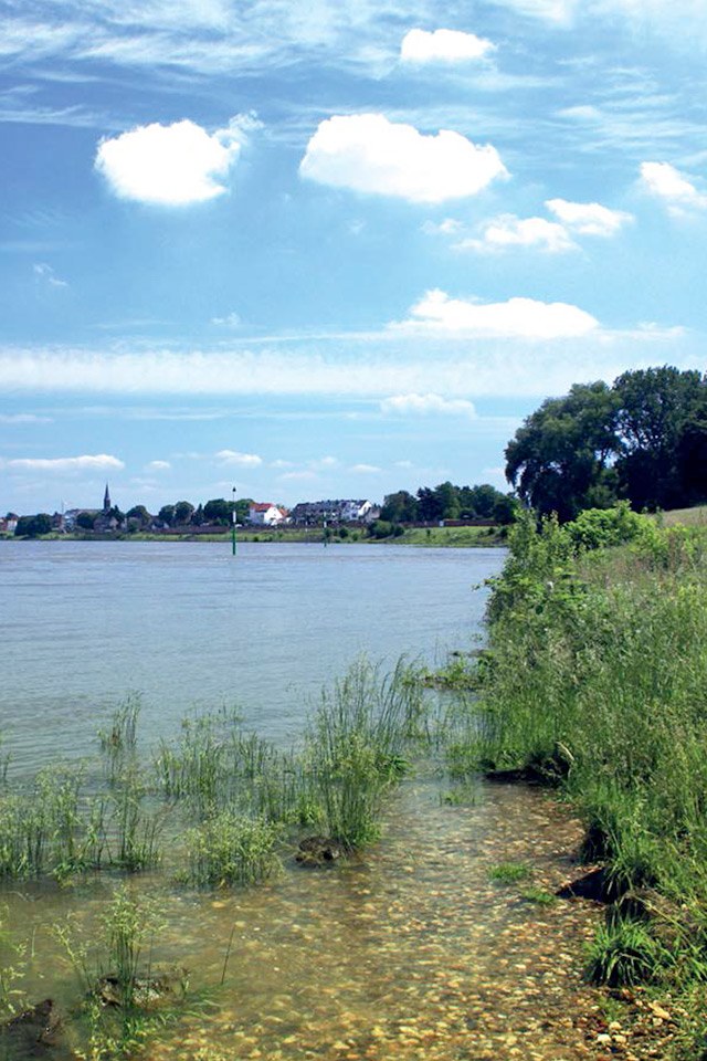 Natur-Radroute entlang Neusser Fluss- und Bachauen