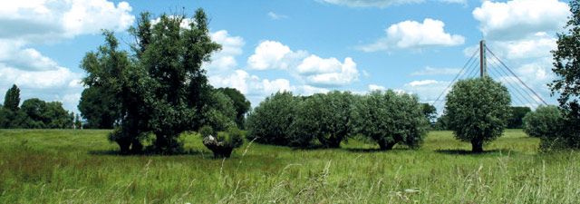 stadt-neuss_natur-radrouten_02_fluss-bachauen_20b.jpg