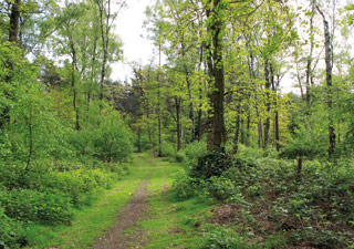 stadt-neuss_natur-radrouten_02_fluss-bachauen_21.jpg